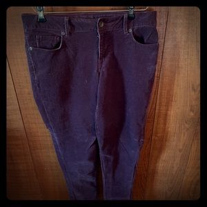 Ladies Sonoma lifestyle pants.